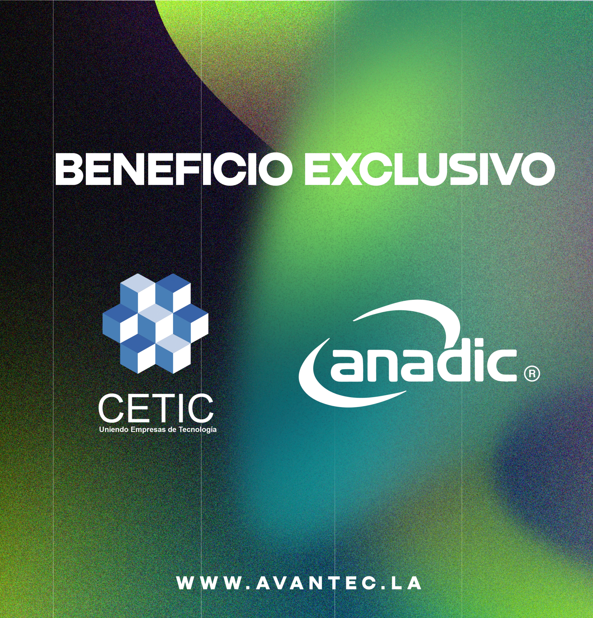 banner pagina web banner pagina web